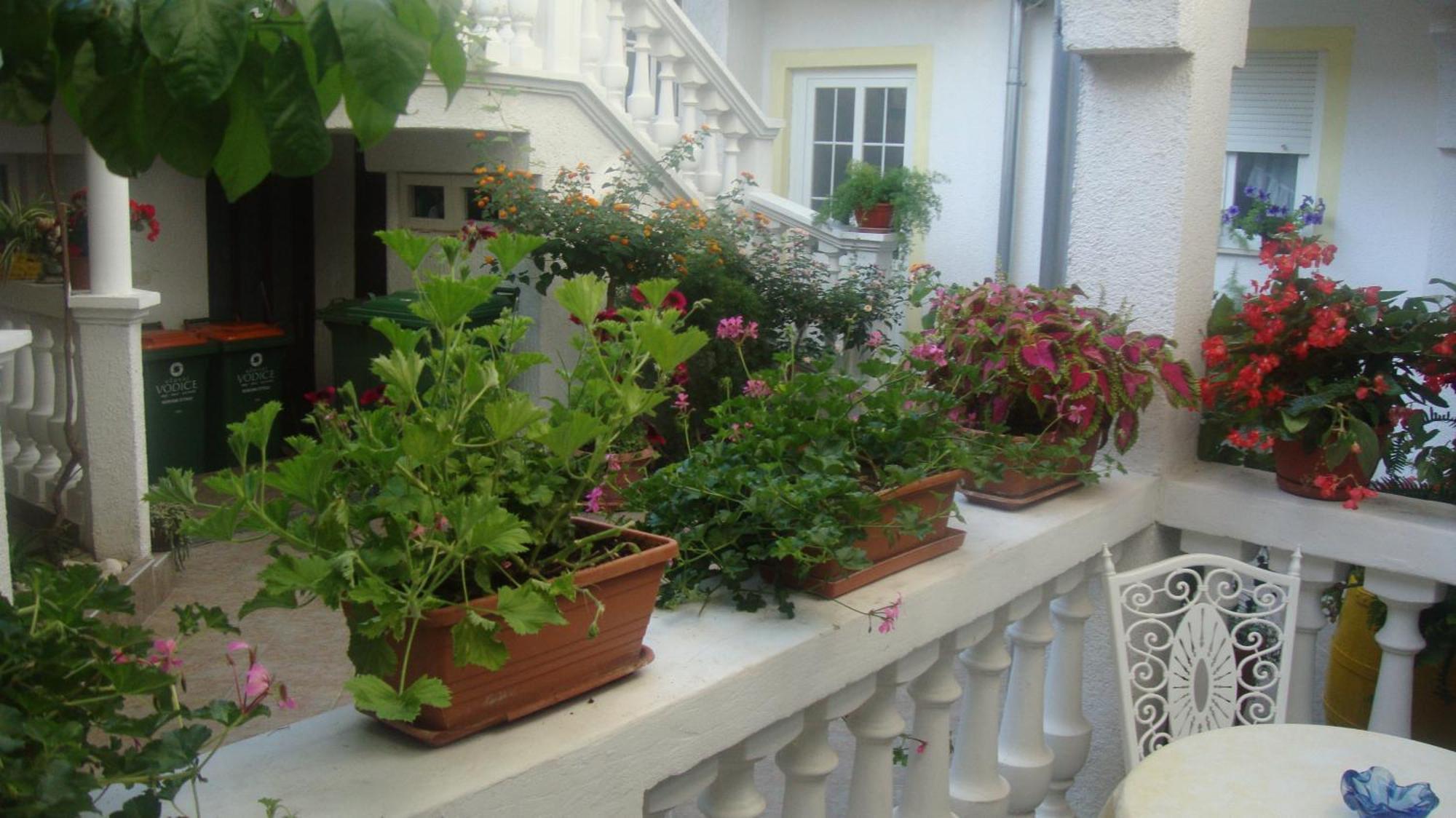 Apartments Vodice Marica Rum bild